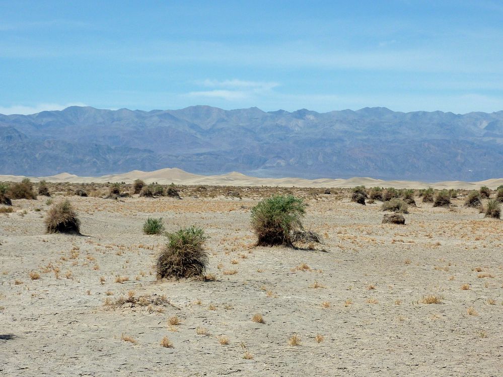 vallée de la mort  (158).JPG